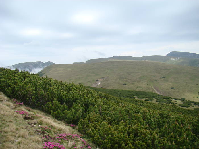 DSC03950 - Concediu 2009