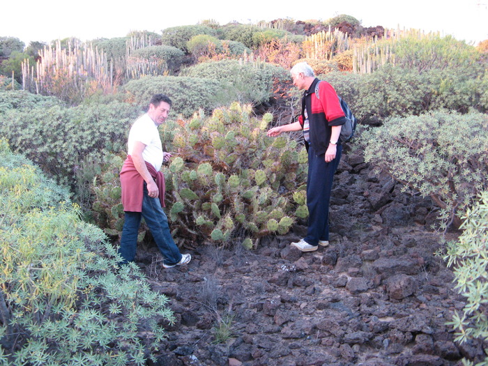 Tenerife  1 165