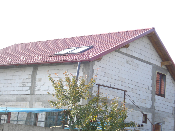 DSC02536