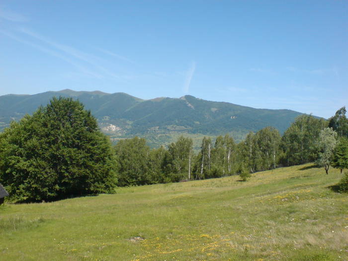 DSC01640