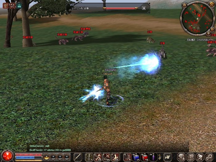 1214_113157 - metin 35 pserver poze noi