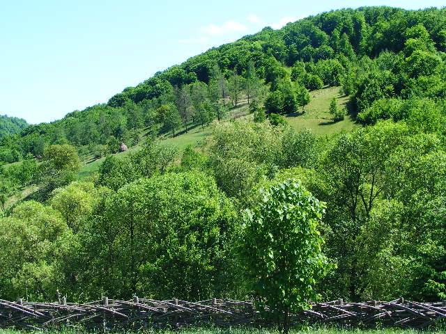 DSCF0807 - hai hui prin Maramures