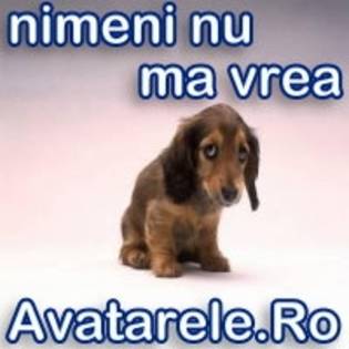 nimeni nu am vrea - avatare