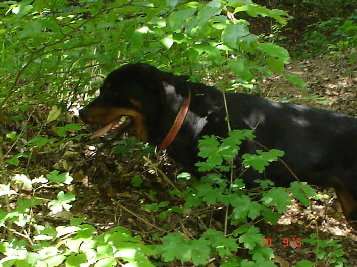 DSC04865 - BELLA poze noi