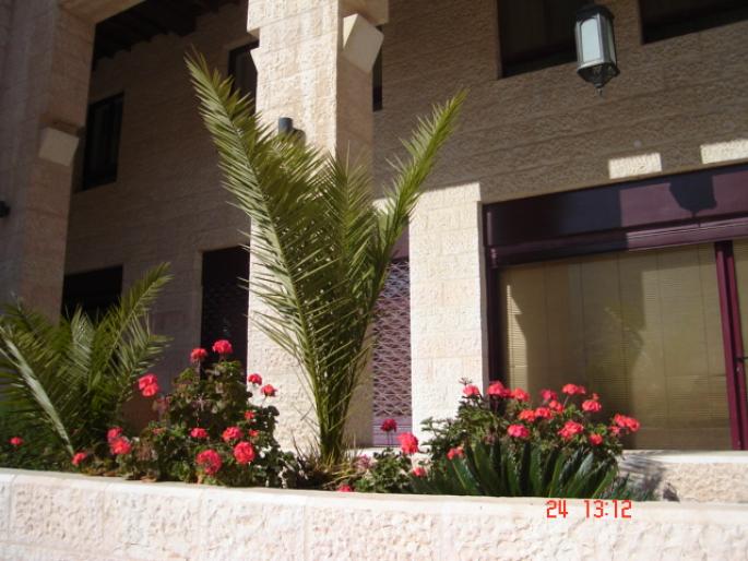 981 Iordania - Petra - Hotel Movenpick