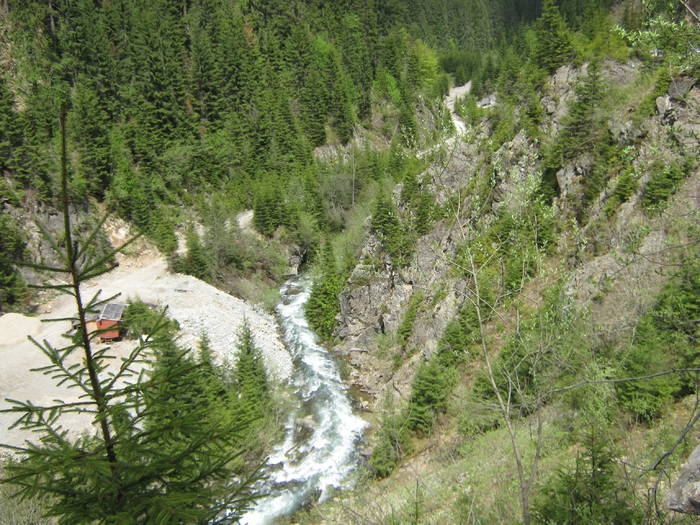 LACUL GALBENU 17.05.2009 186 - VALEA LATORITEI