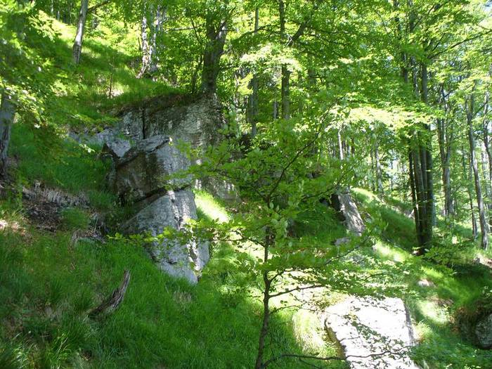 P1000553 - varful Ignis Maramures
