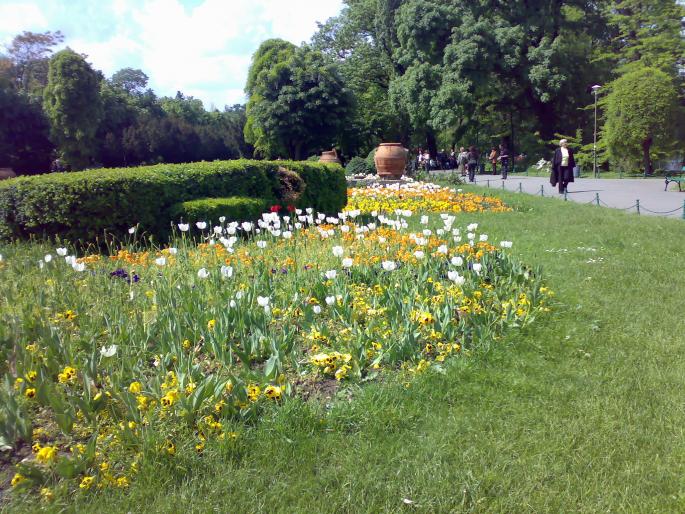 29042008625 - Parcul CISMIGIU