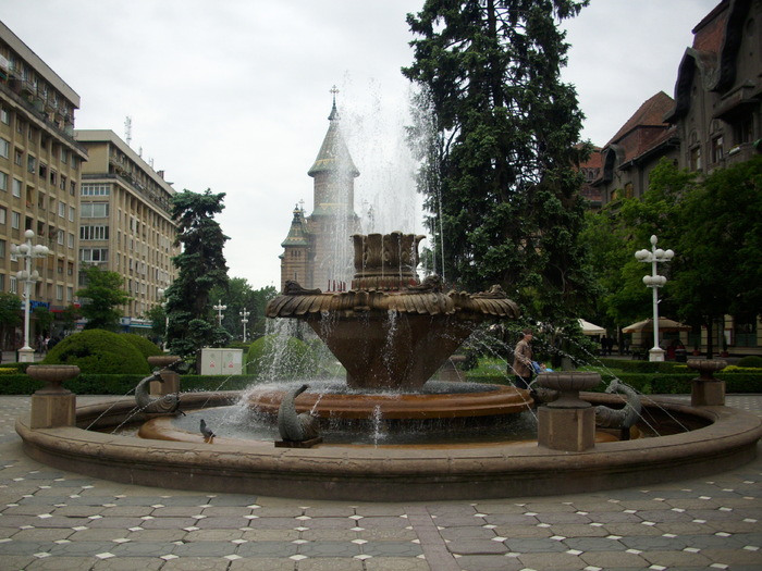 DSCI0057 - imagini din Timisoara