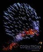 dfgsfdg - artificii colorate