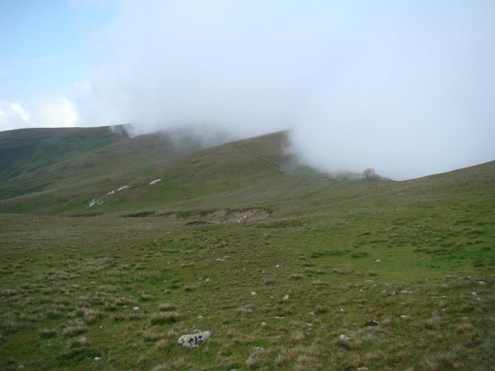 DSC01921 - Concediu 2008