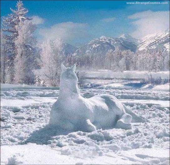 un vis pe cale de a se spulbera - PICTURI    FOTO   PLANSE