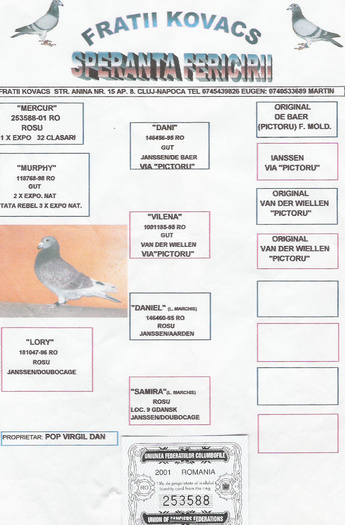 Janssen-Van Der Wiellen - Pedigree Matca