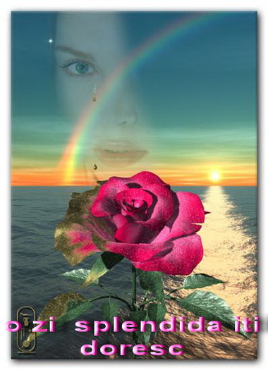 4d84a5b441b36bb3eac6ceee02284b06_web