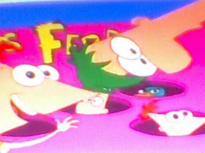 snapshot-197 - Pineas si Ferb