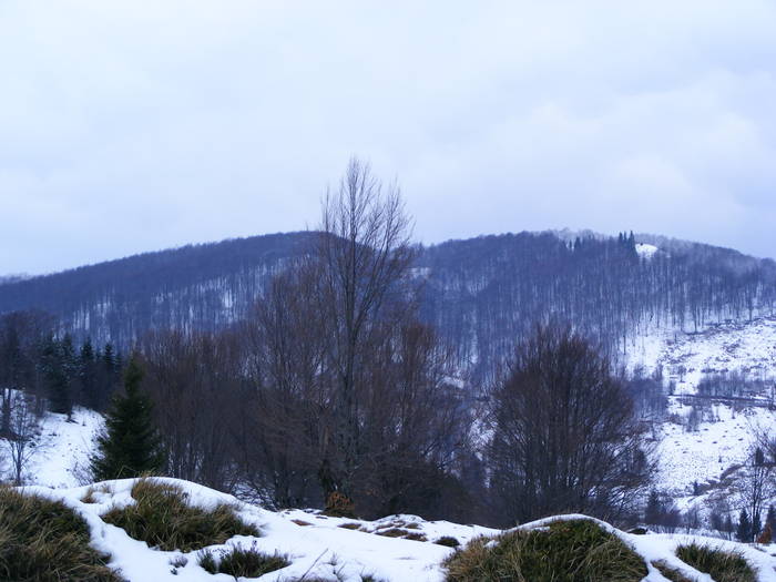 DSCF7633 - Cavnic -Budesti-Breb-Desesti -Mara