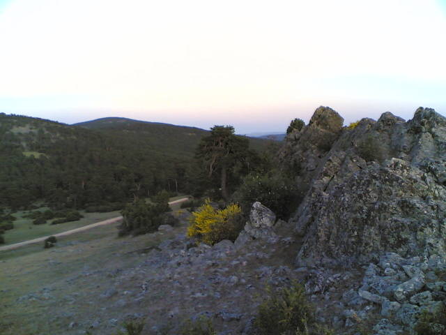 25062009(021) - Parcu  national Alto  TAJO