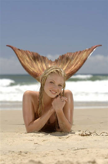 CH1 SIRENA - Caribe Heine