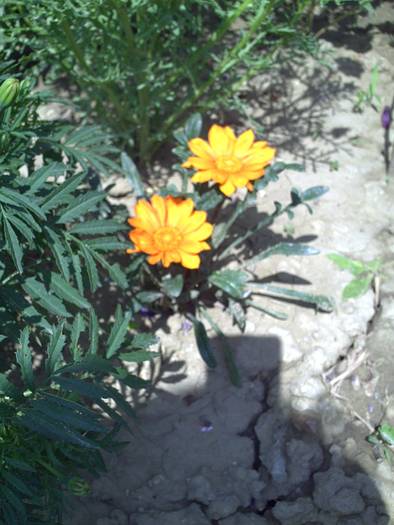PICT0053