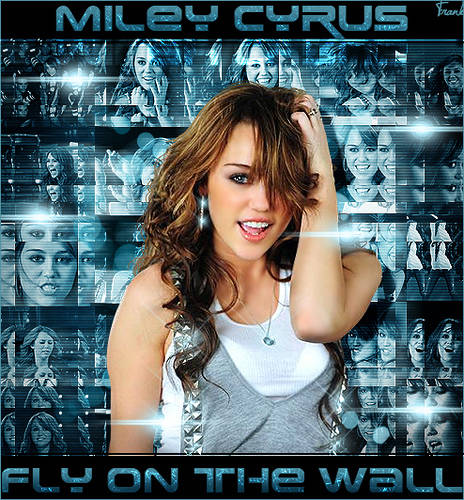 3235096748_88cd623585 - miley cyrus-fly on the wall