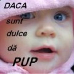 daca_sunt_dulce_da_pup - STATUSURI