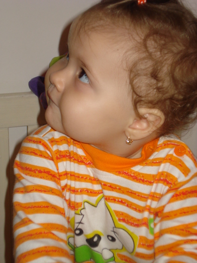 DSC06211 - Luna 12