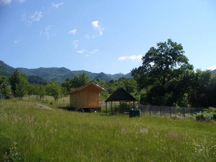 P1000355 - varful Ignis Maramures