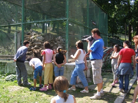 gradina_zoo_038 - Gradina Zoologica