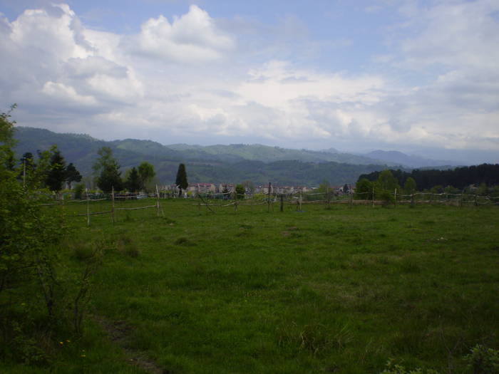 Poze 026