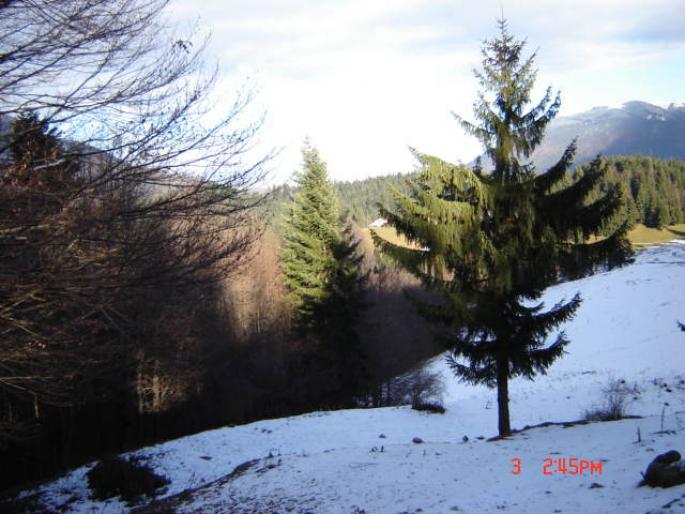 Picture 024