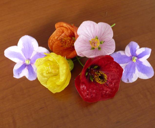 P1120814 - flori diverse