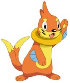 buizel