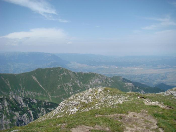 DSC01869 - Concediu 2008