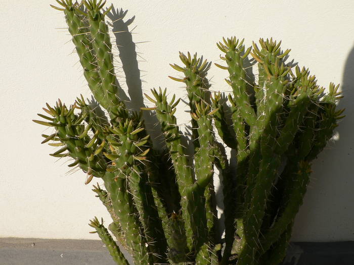 P1050115