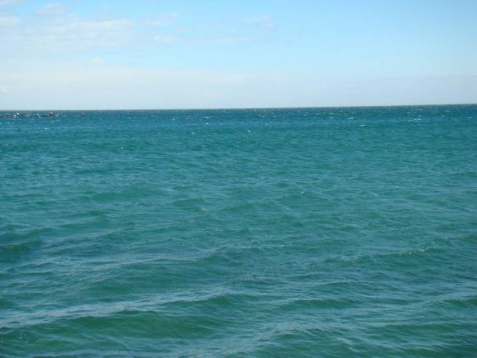 DSC02471 - 2008-03-02 - La Marea Neagra