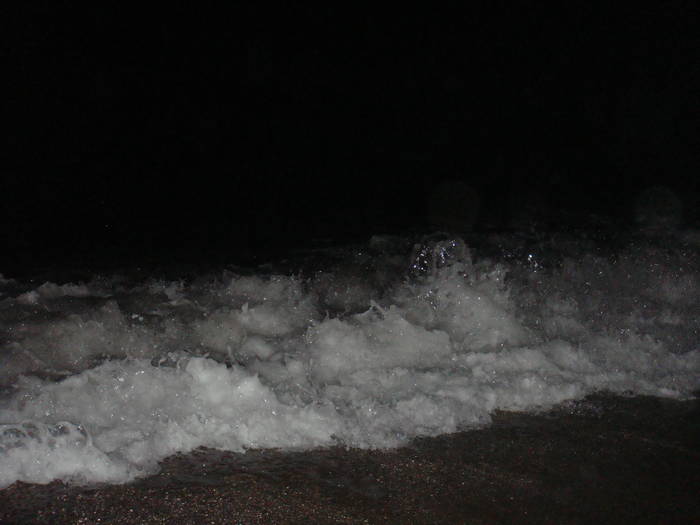 100 - bulgaria aug 2009