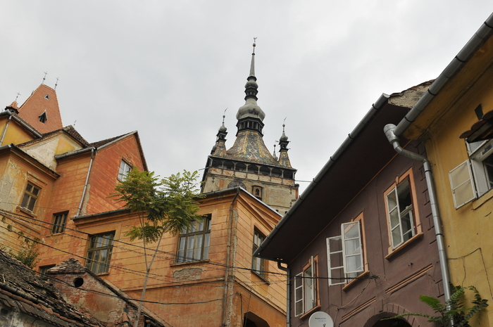 _DSC4231_450 - Sighisoara