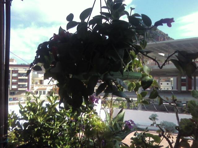Foto0337