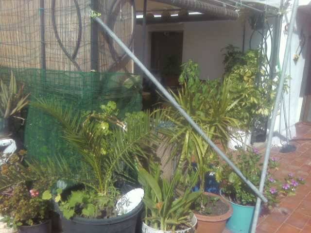 Foto0617