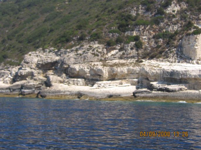 IMG_0143; Pesterile Albastre
