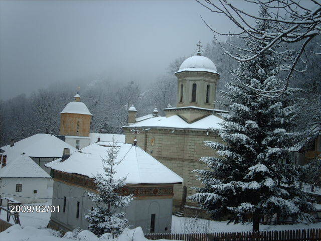 Stanisoara  01.02.2009 102 - STANISOARA- COZIA- -IARNA