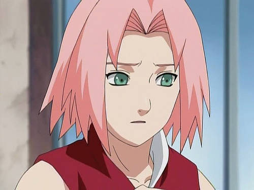 2998214680_bd09743b19[1] - Sakura