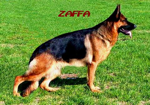 Zaffa