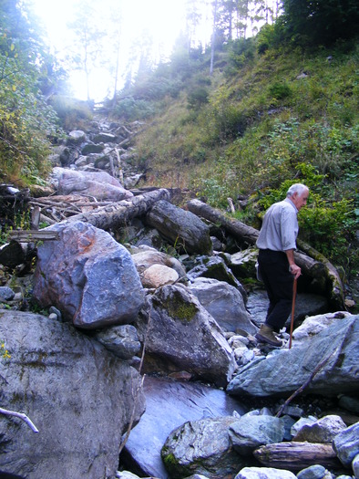 DSCF6331 - muntii Rodnei