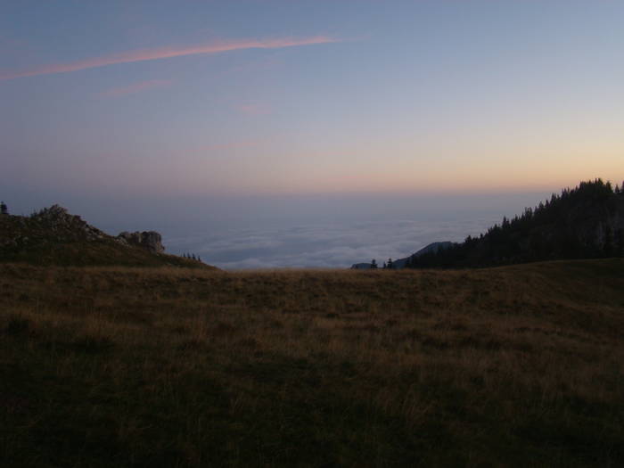 DSC00428