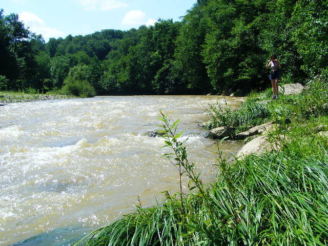 DSCF2467