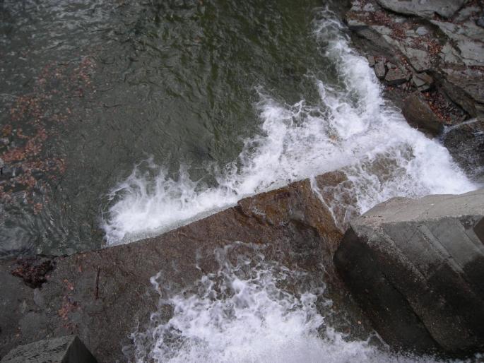 DSCN3050 - 2008 OLANESTI MARTIE