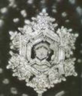 dimant