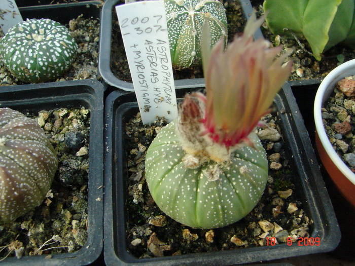 DSC06208