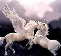 unicorni - Poze minunate